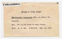 Aerobryopsis longissima (Doz. Et Molk.) Fleisch. Collection Image, Figure 3, Total 8 Figures